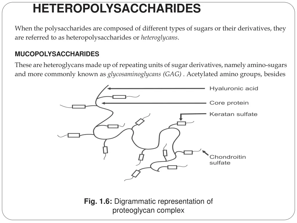 heteropolysaccharides