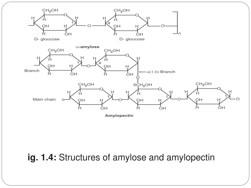 ig 1 4 structures of amylose and amylopectin