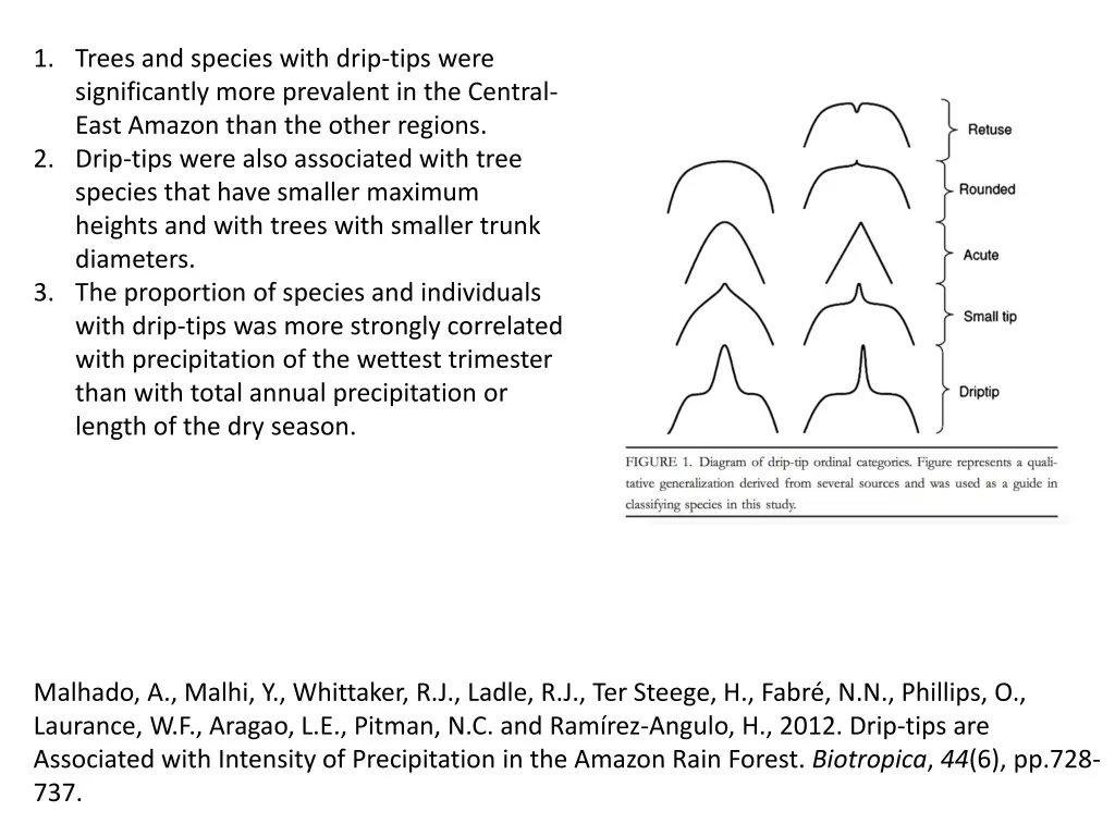 1 trees and species with drip tips were