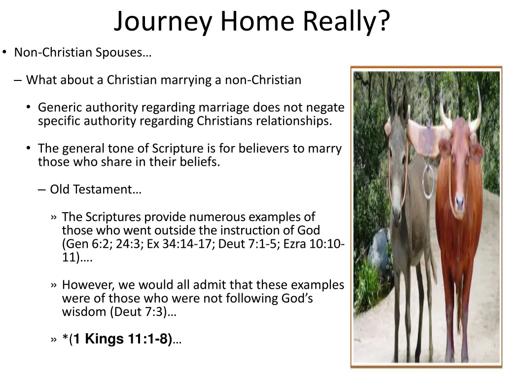 journey home really non christian spouses 1