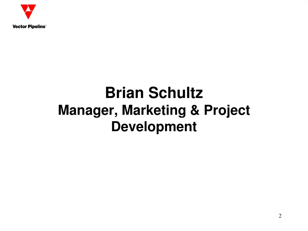 brian schultz manager marketing project