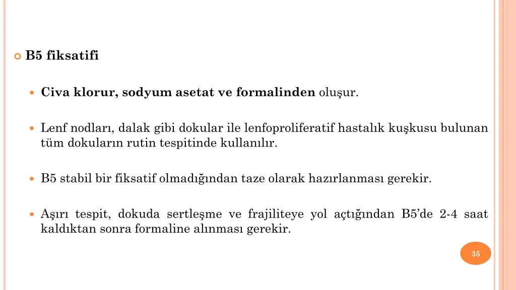 b5 fiksatifi
