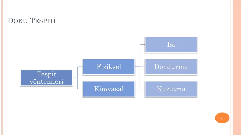 d oku t esp t