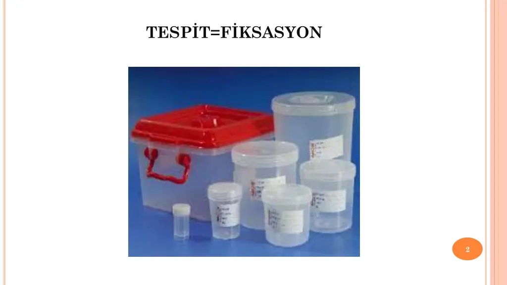 tesp t f ksasyon