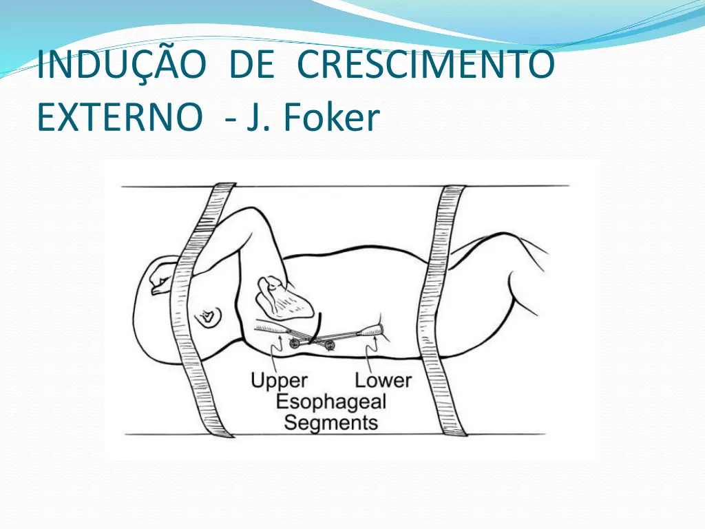 indu o de crescimento externo j foker