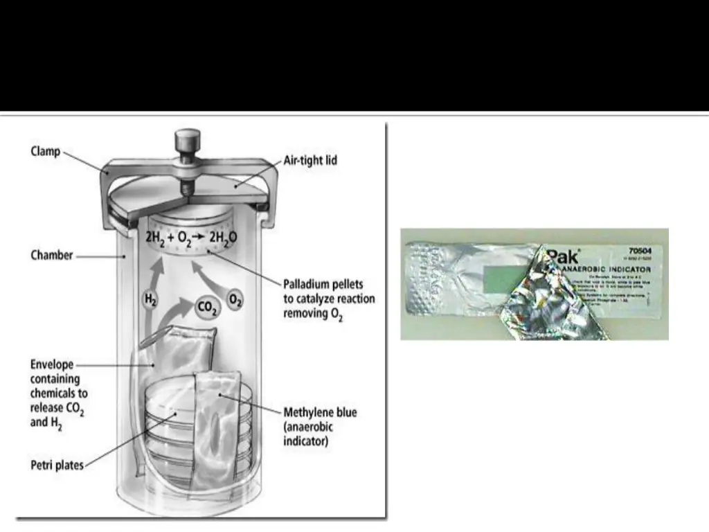 slide6