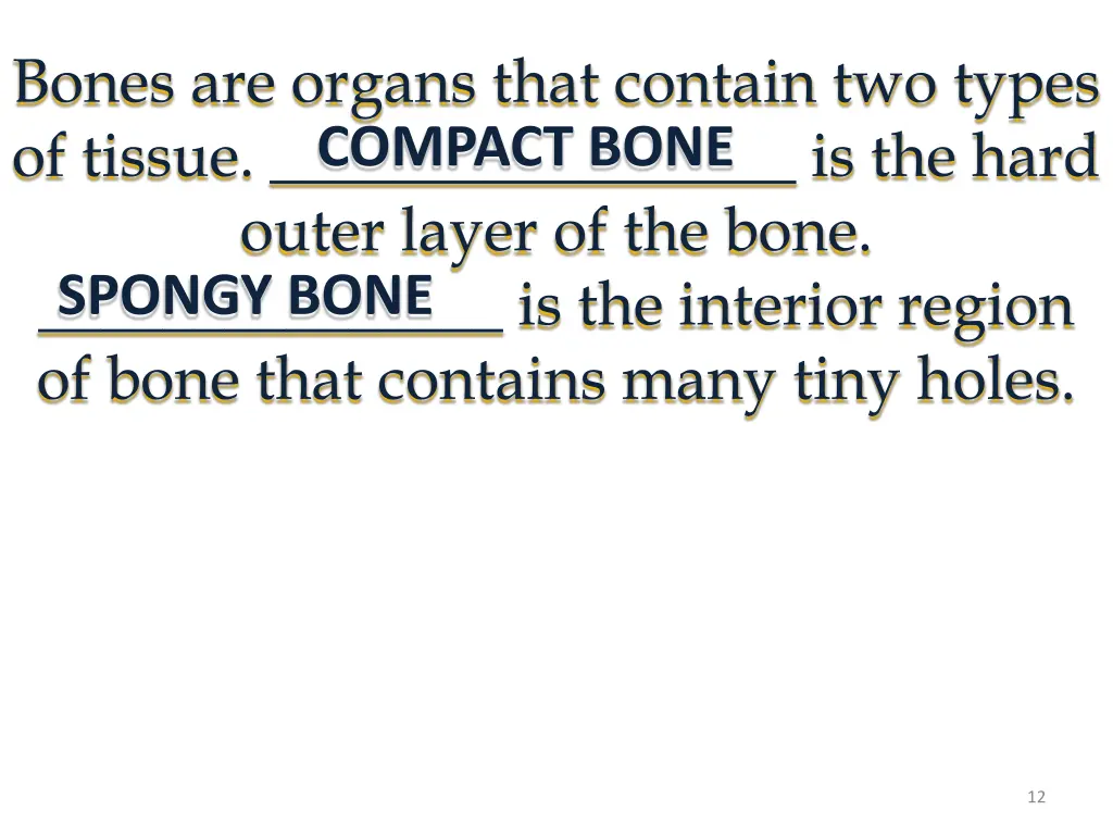 bones are organs that contain two types of tissue