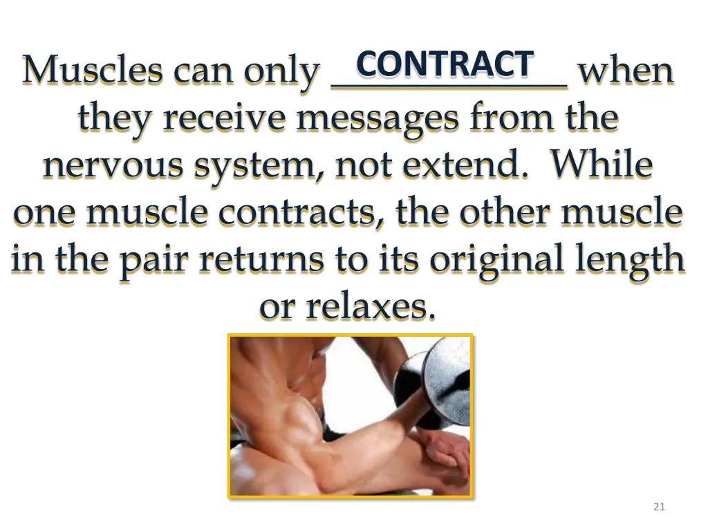 muscles can only when they receive messages from