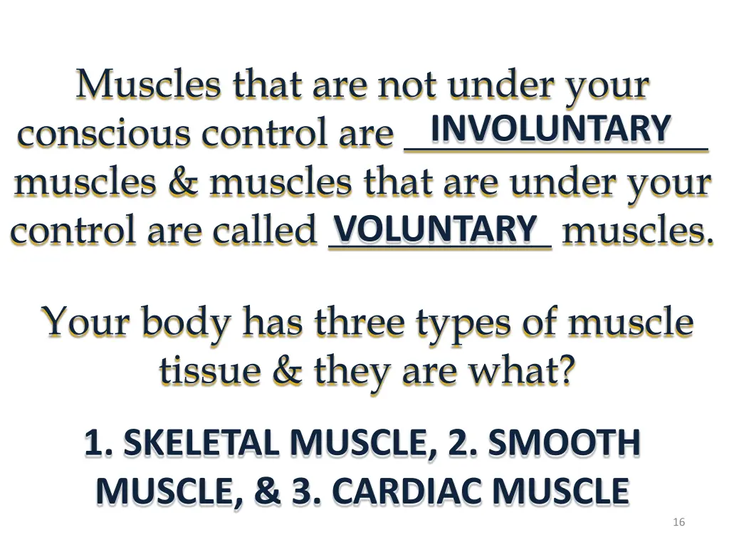 muscles that are not under your conscious control
