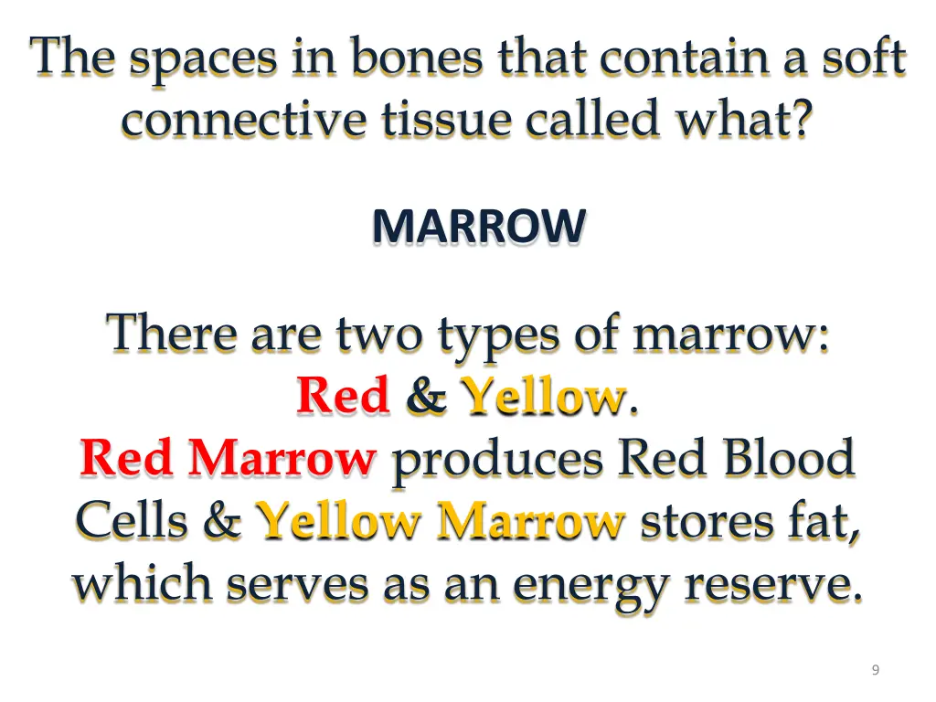 the spaces in bones that contain a soft