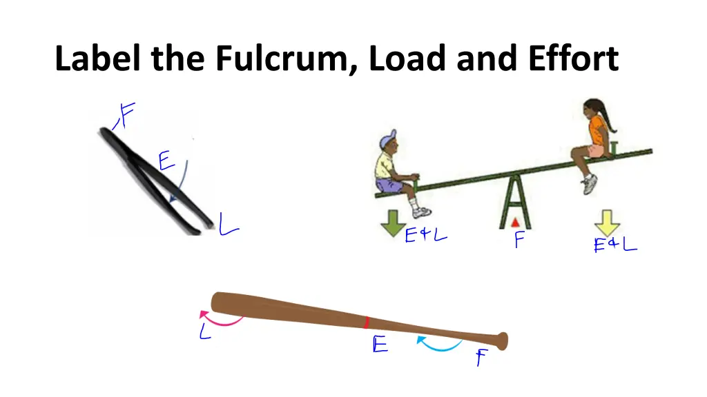 label the fulcrum load and effort