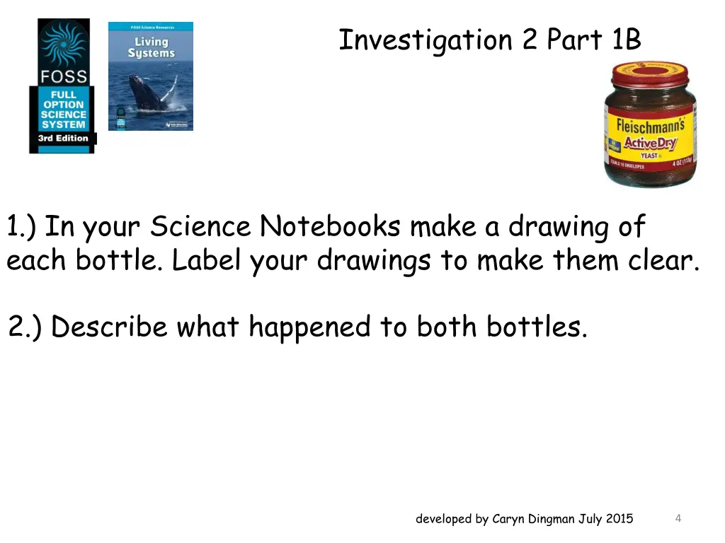 investigation 2 part 1b