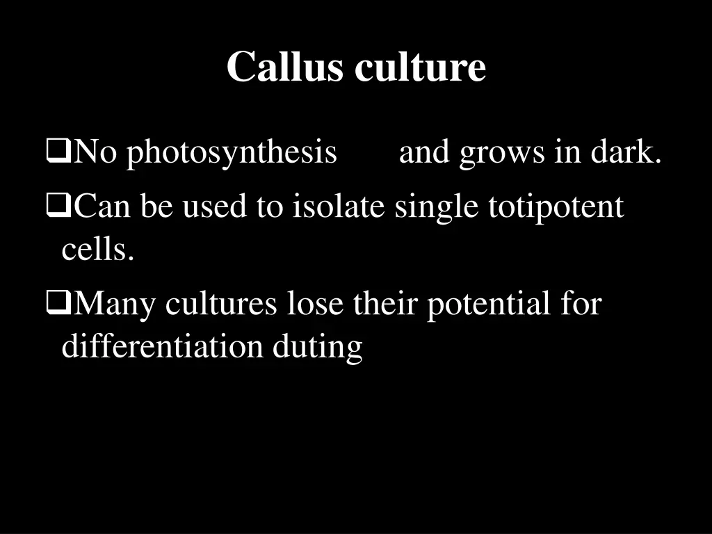 callus culture