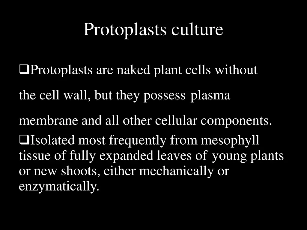 protoplasts culture