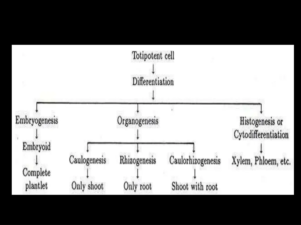 slide7