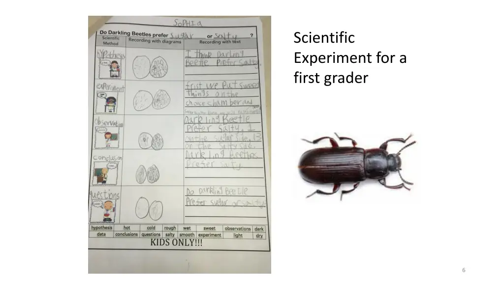 scientific experiment for a first grader