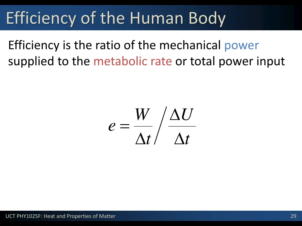 efficiency of the human body