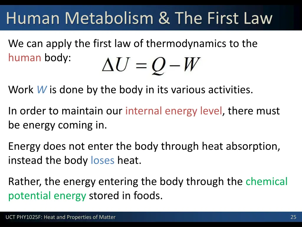 human metabolism the first law