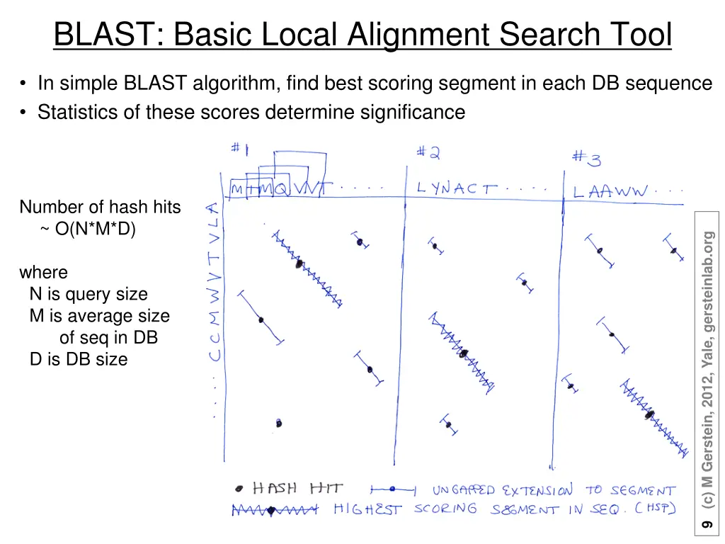 blast basic local alignment search tool 1