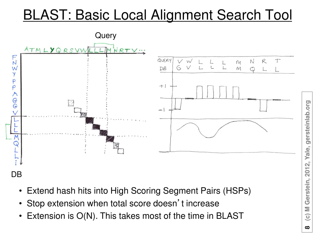 blast basic local alignment search tool
