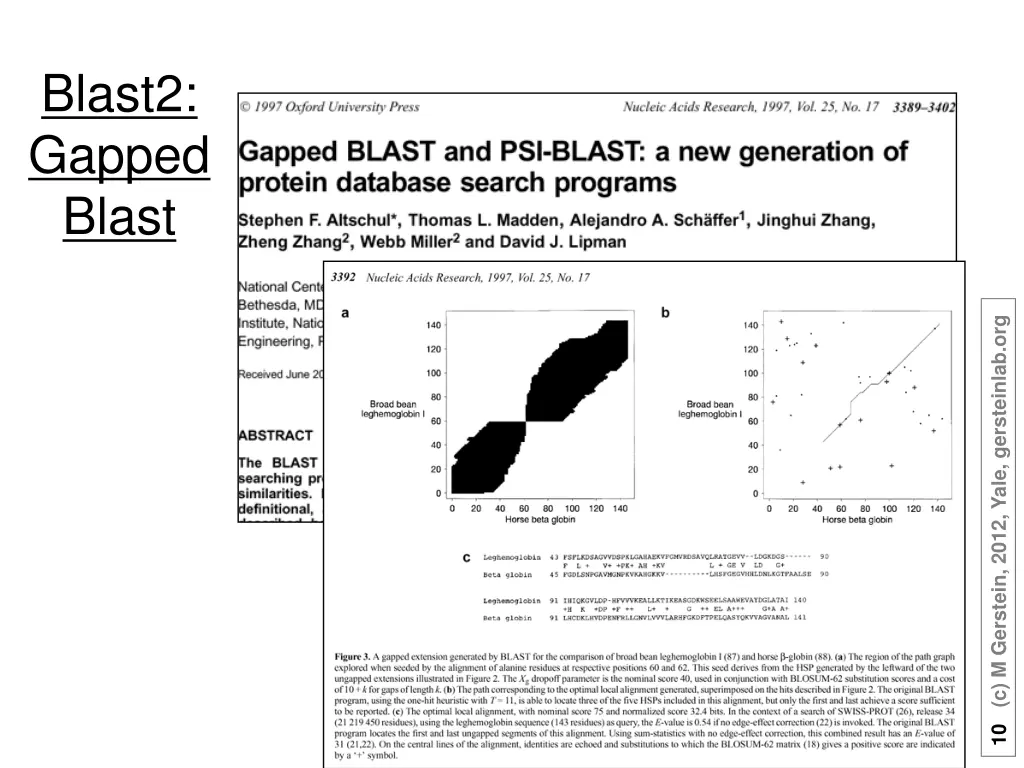 blast2 gapped blast