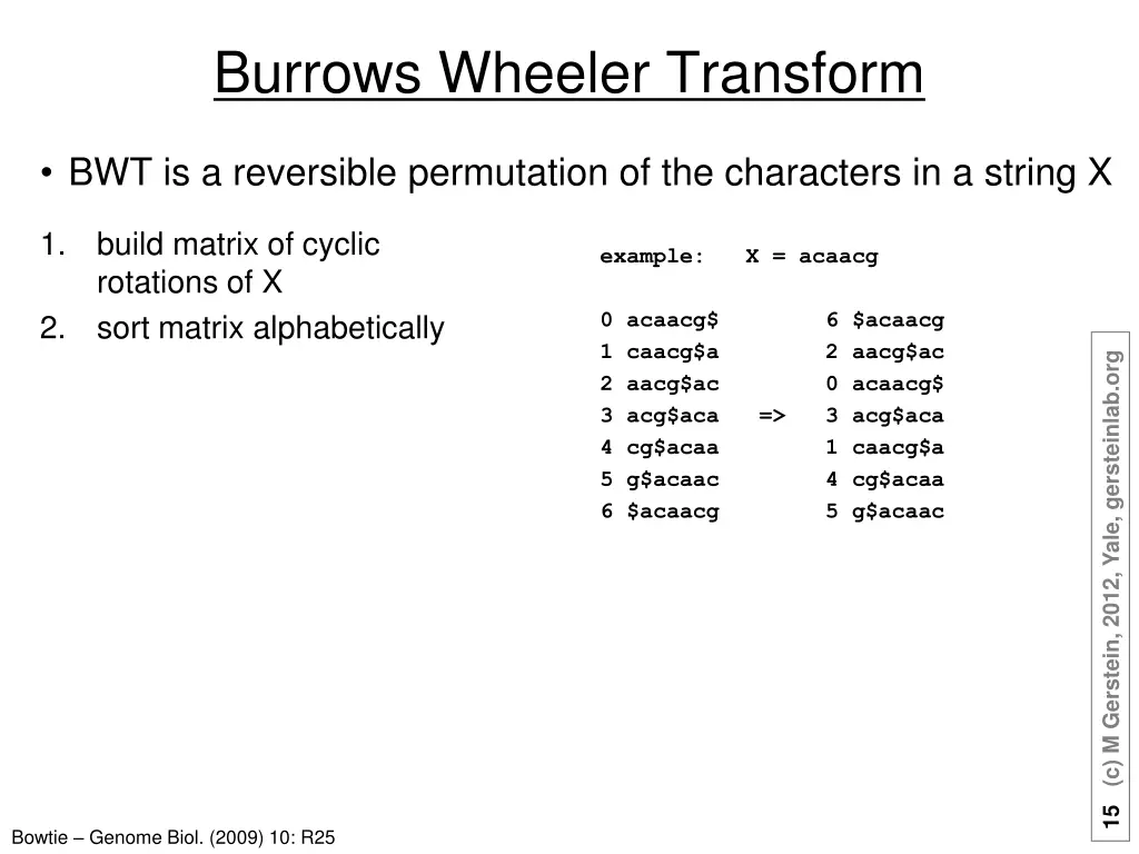 burrows wheeler transform 1