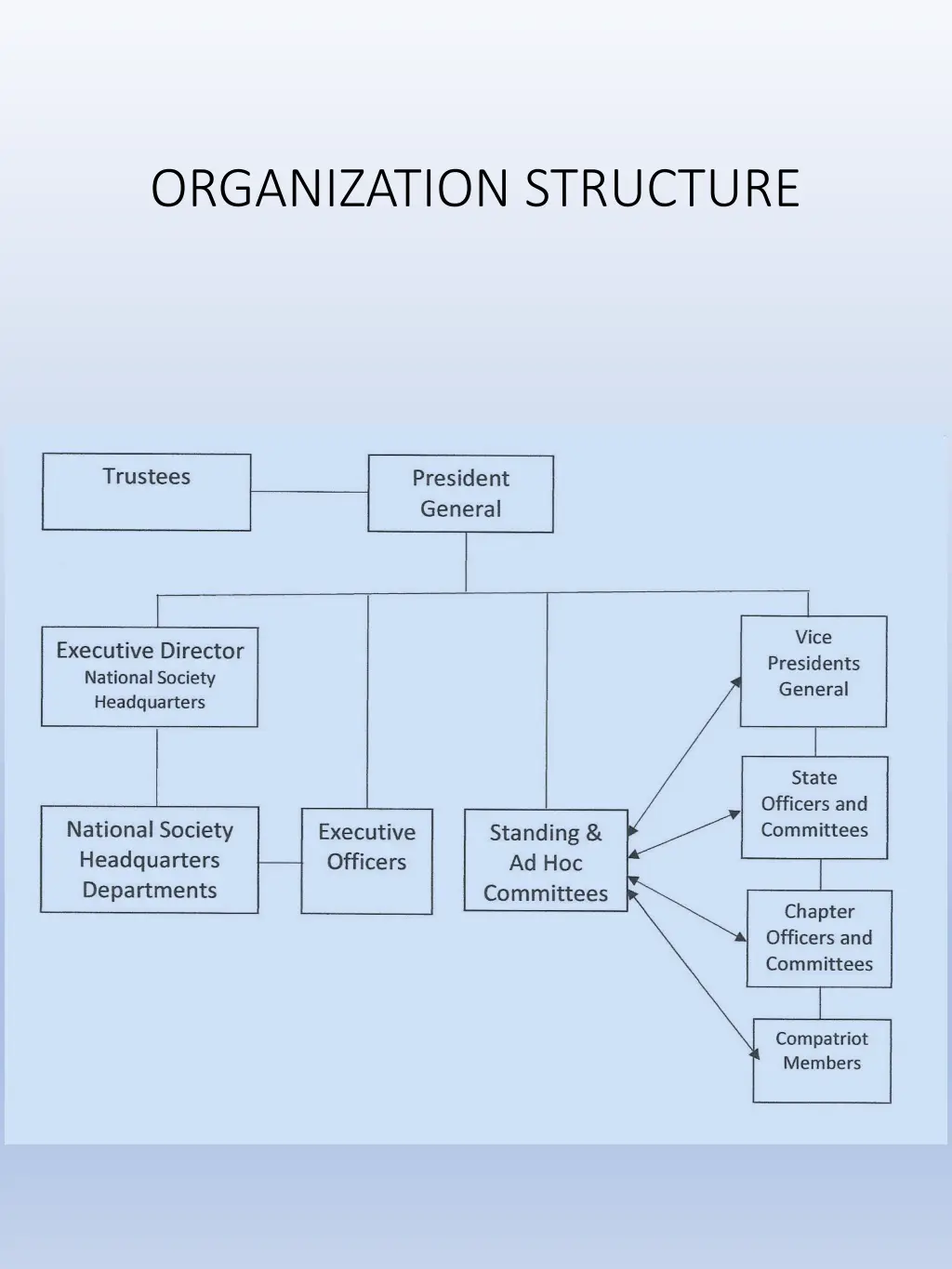 organization structure