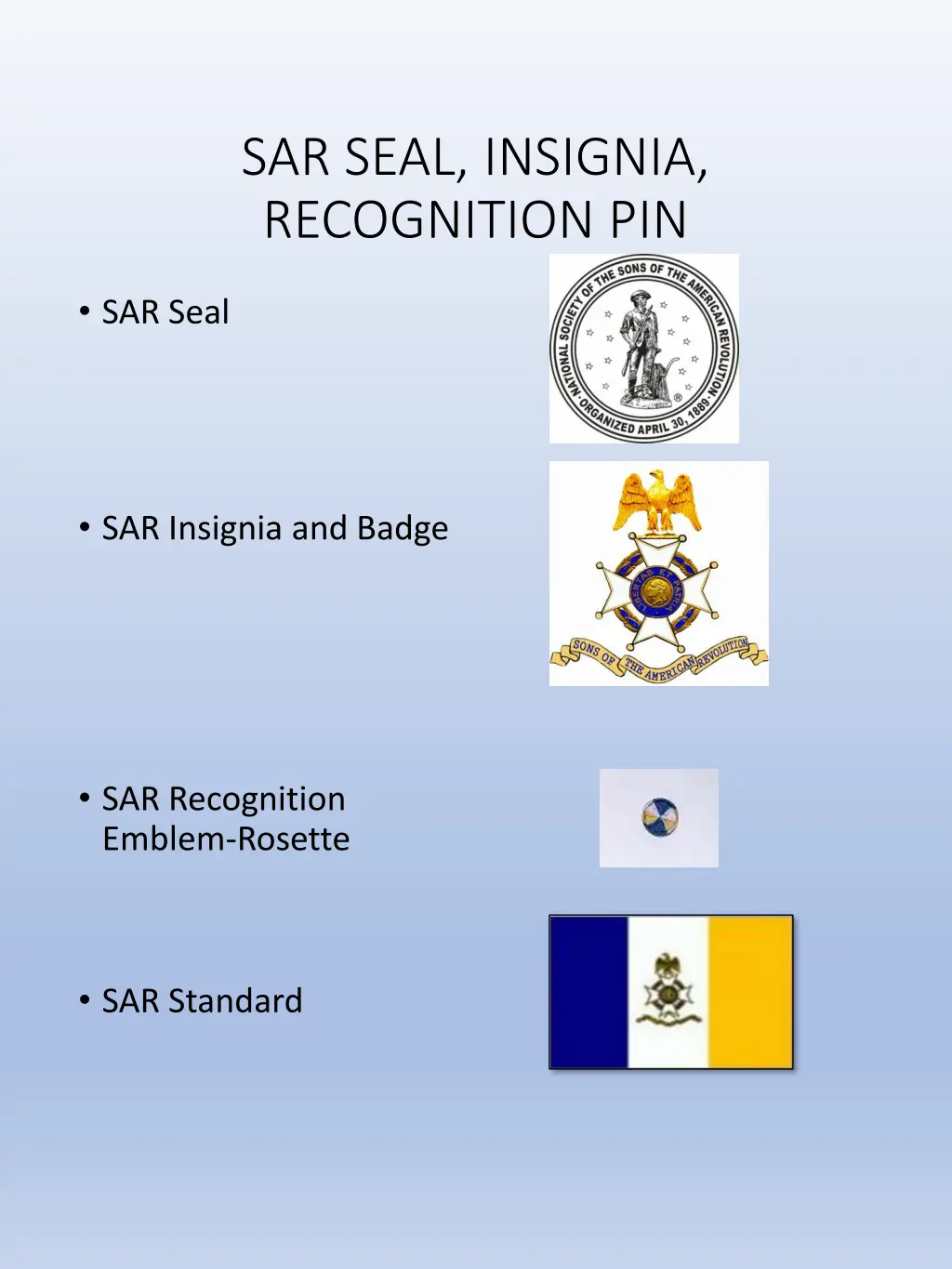 sar seal insignia recognition pin