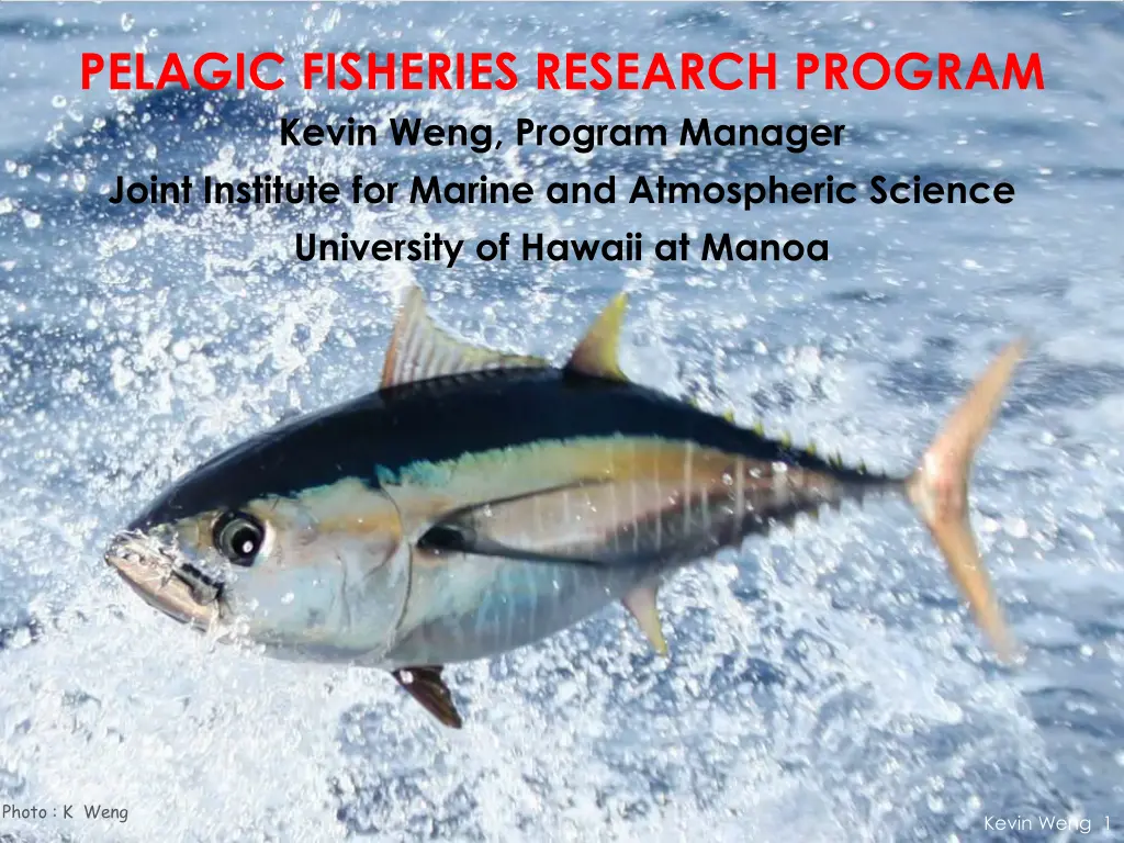 pelagic fisheries research program kevin weng