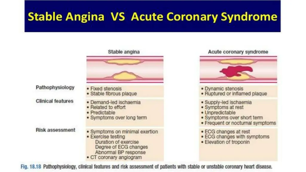 slide6