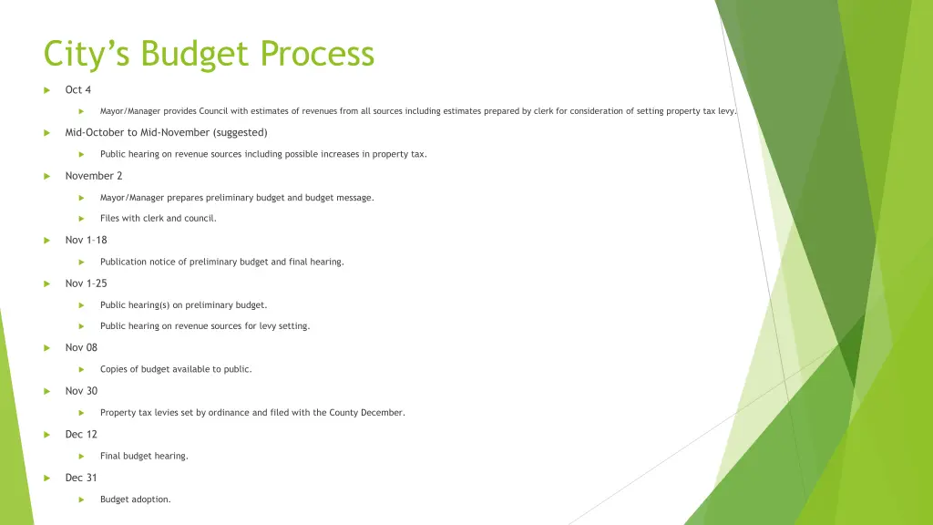 city s budget process 1