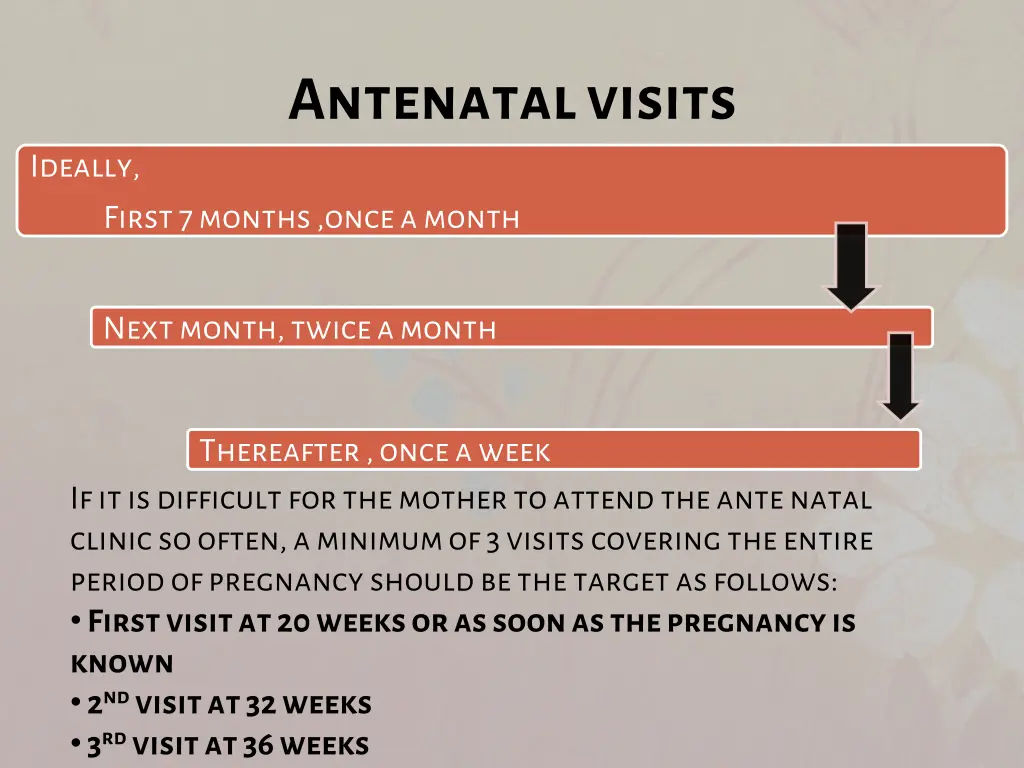 antenatal visits