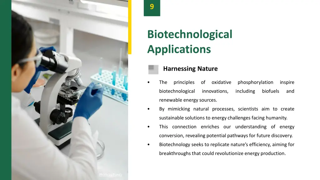 slide11
