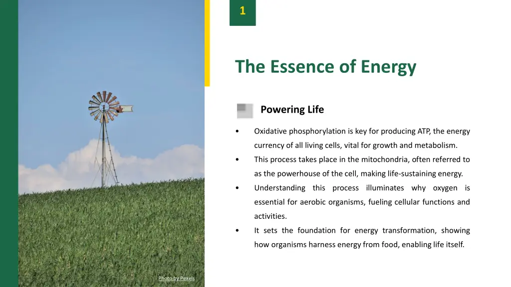 slide3