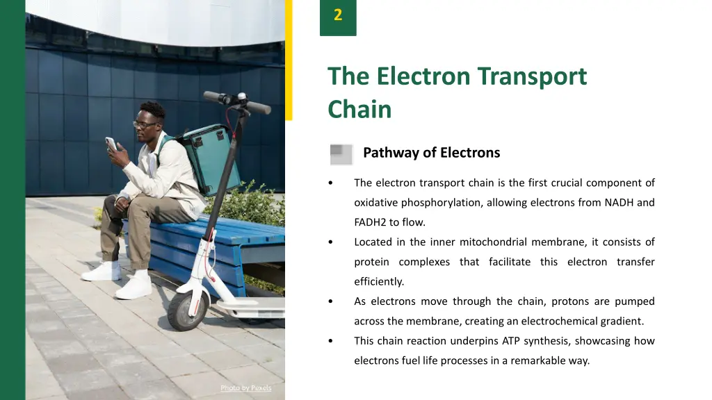 slide4