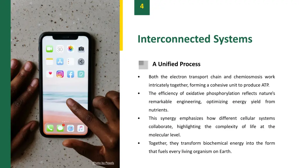 slide6
