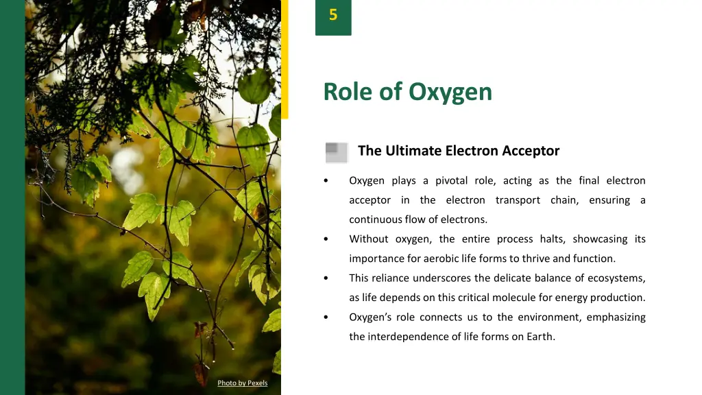 slide7