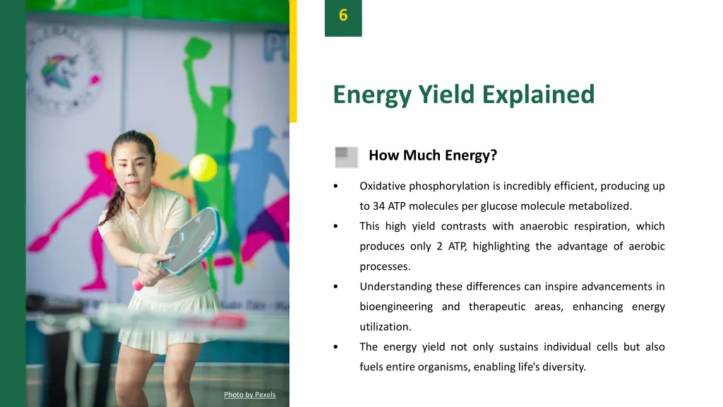 slide8