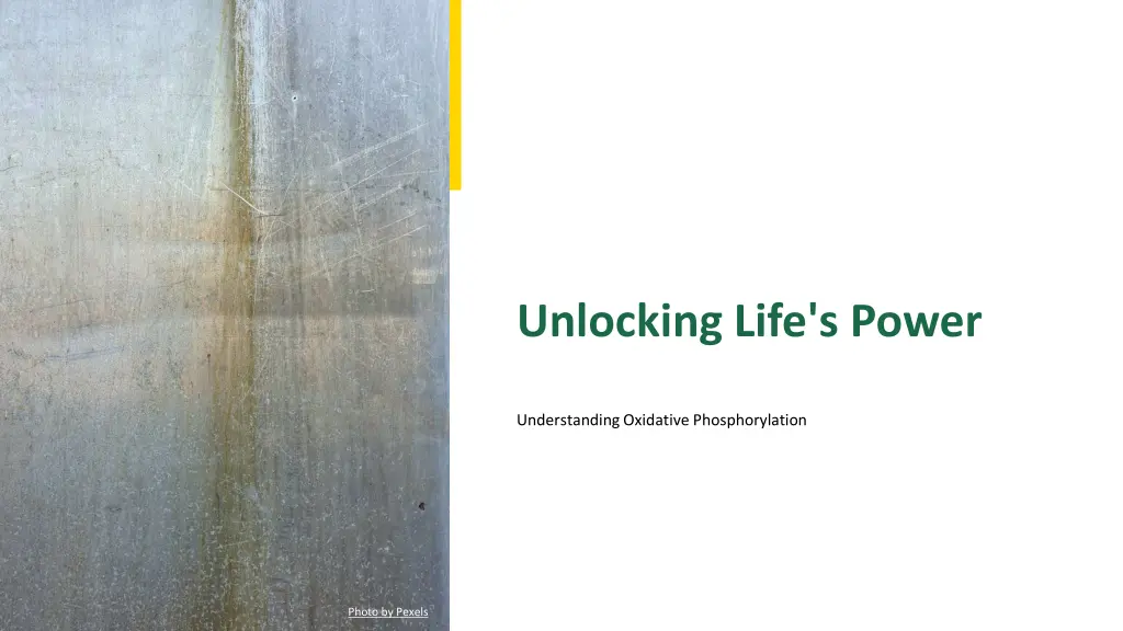 unlocking life s power