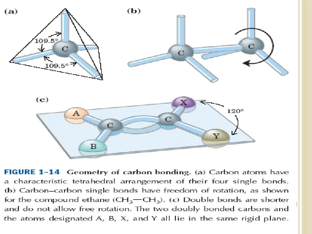 slide6