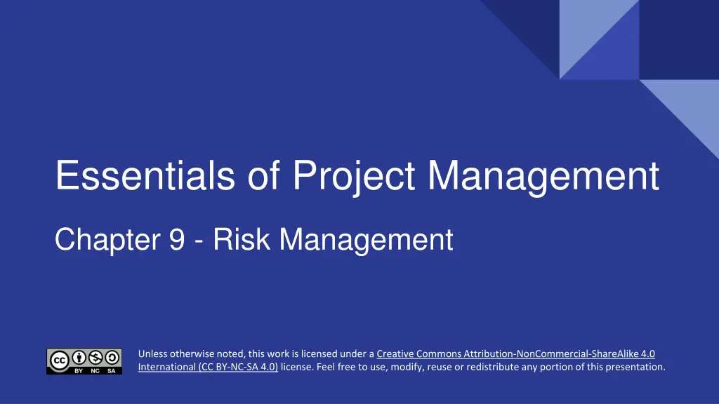 essentials of project management