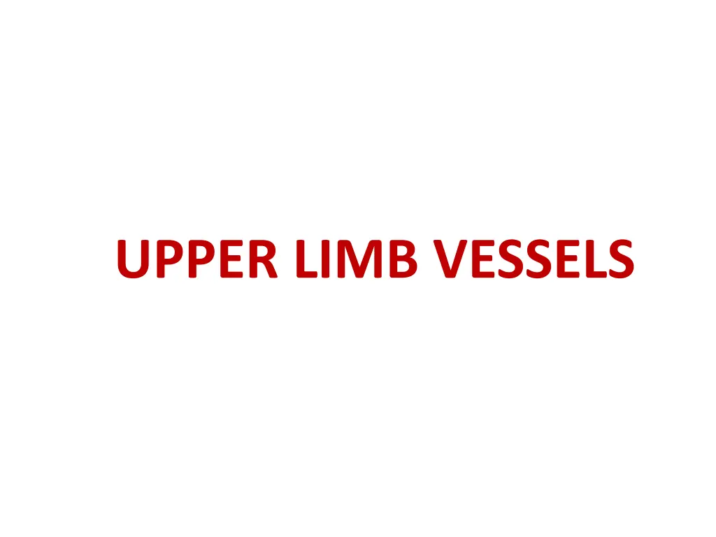 upper limb vessels