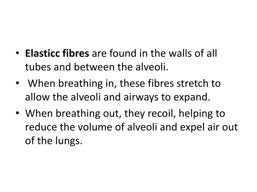 elasticc fibres are found in the walls