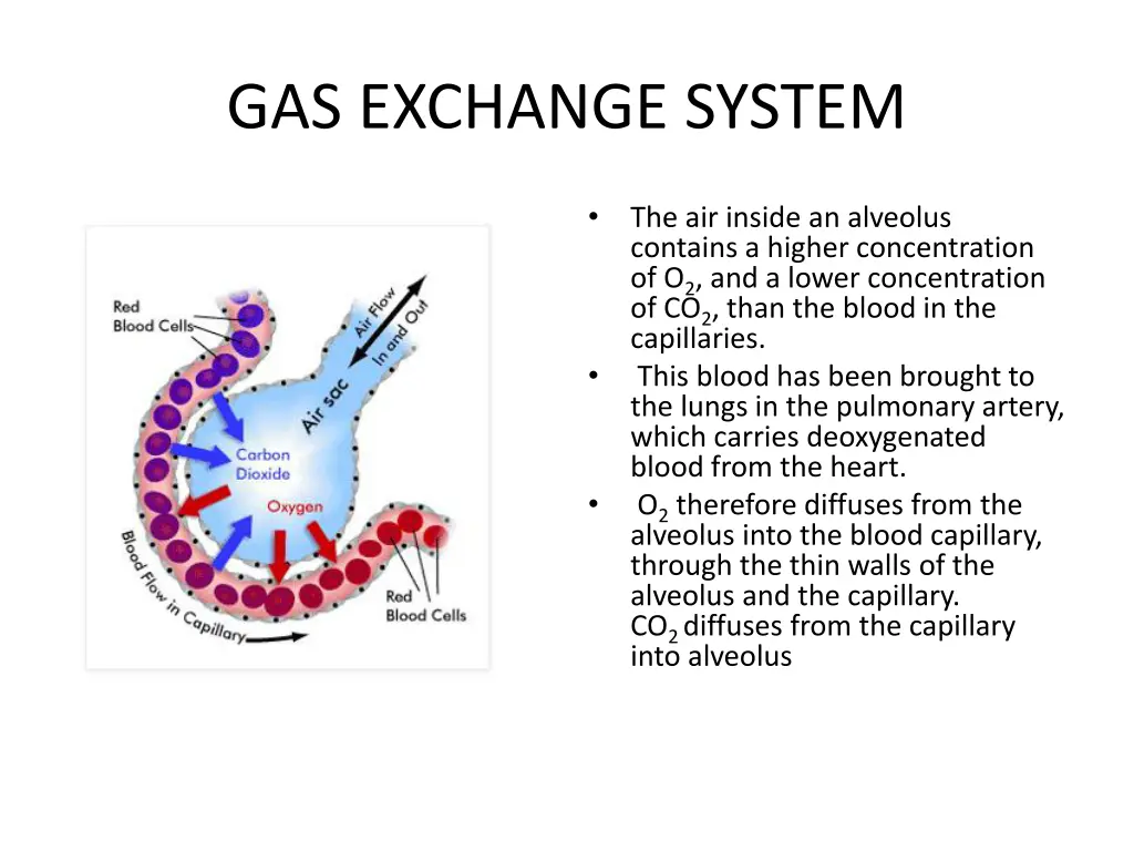 gas exchange system 1