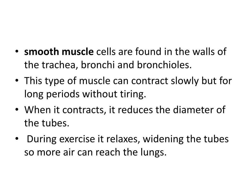 smooth muscle cells are found in the walls
