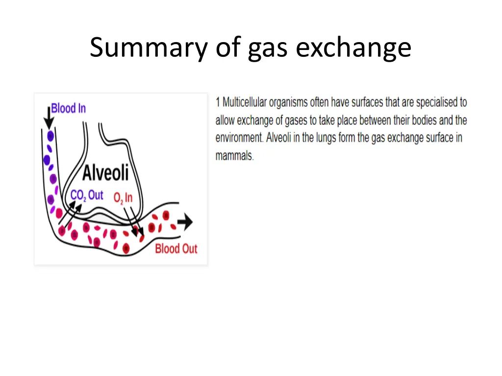 summary of gas exchange