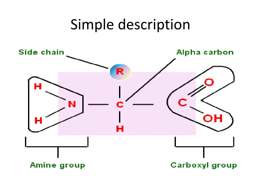 simple description