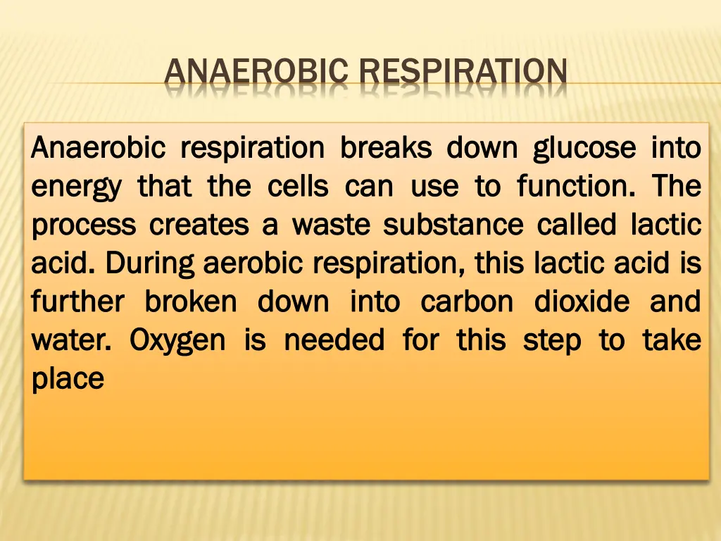 anaerobic respiration 1