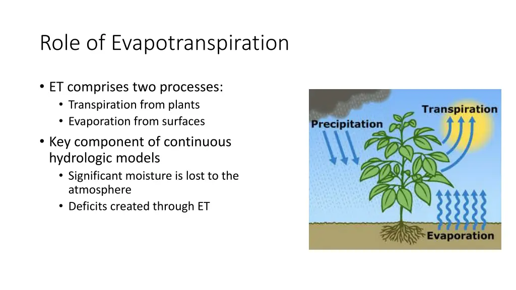 role of evapotranspiration