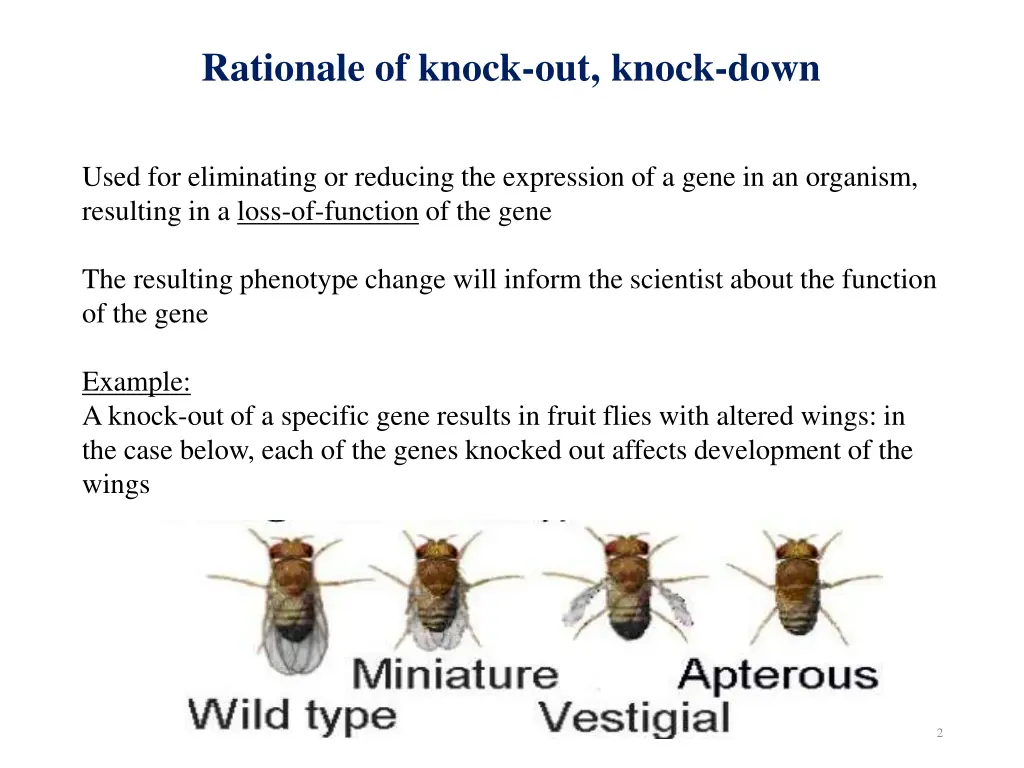 rationale of knock out knock down